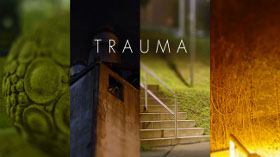 TRAUMA jetzt auf Little Indie erhältlich