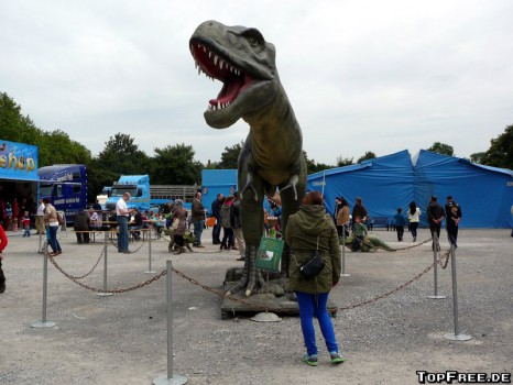 Dinosaurier im Reich der Urzeit – Dino-Ausstellung