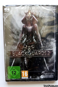 Blackguards 2 Gewinnspiel