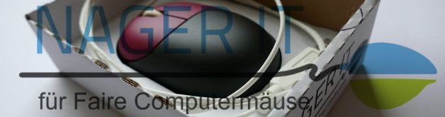 Faire Maus - Nager IT - Logo Review
