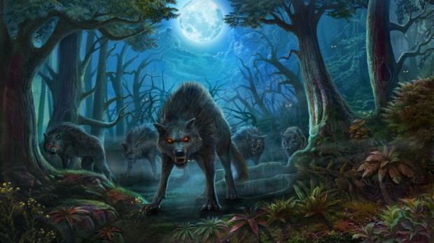 Shadow Wolf Mysteries: Spuren des Terrors