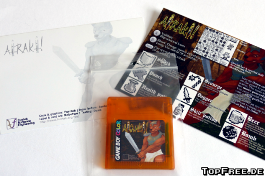 Nach 2 Jahren: Homebrew Game Boy-Spiel Airaki eingetroffen
