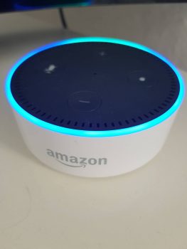 Amazon Echo Dot / Philips Hue – Review