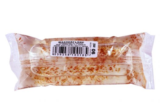 Aquaristik: Betta Ernährung