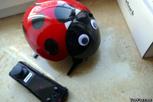 RC Insect Robot: Marienkäfer im Test