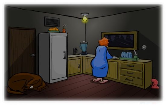 The Visitor