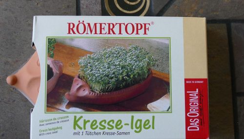 Römertopf Kresse-Igel