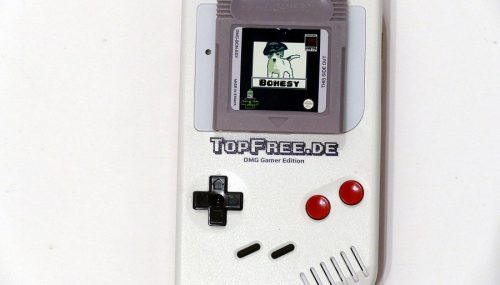 Bonesy (Farewell) für den Game Boy als Modul im Test