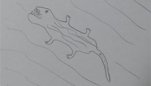 Tiere 1.0 – Das Krokodil