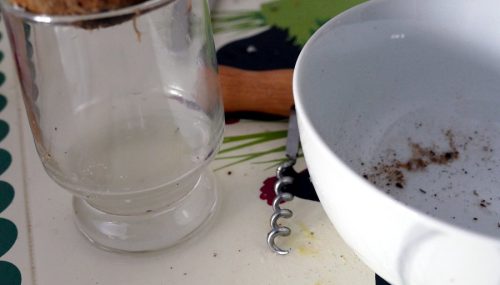 Aus der Kokosnuss trinken