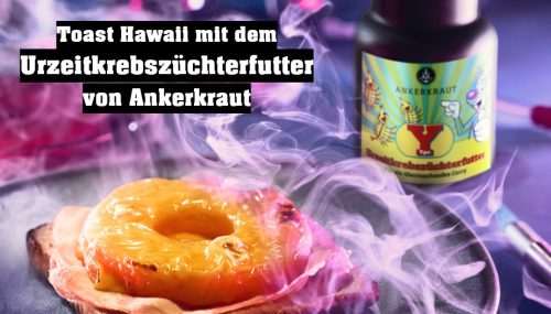 Yps Urzeitkrebszüchterfutter von Ankerkraut (mit Gutscheincode)