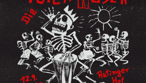 Die Toten Hosen Opfer von Bot-Angriff auf Tickets